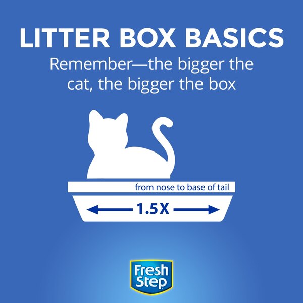Fresh Step Non-Clumping Premium Clay Litter, Febreze Freshness, 7 lbs