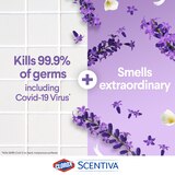 Clorox Scentiva Disinfecting Multi-Surface Cleaner Spray, Lavender & Jasmine, 33.38 OZ, thumbnail image