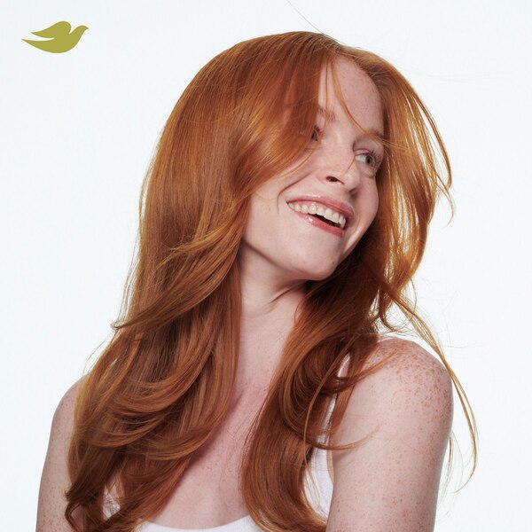 Dove Intensive Repair Damage Therapy Shampoo