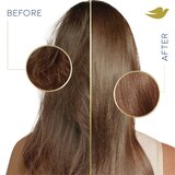 Dove Intensive Repair Damage Therapy Shampoo, thumbnail image