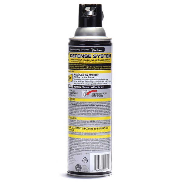 Raid, Wasp & Hornet Killer Spray, 14 oz