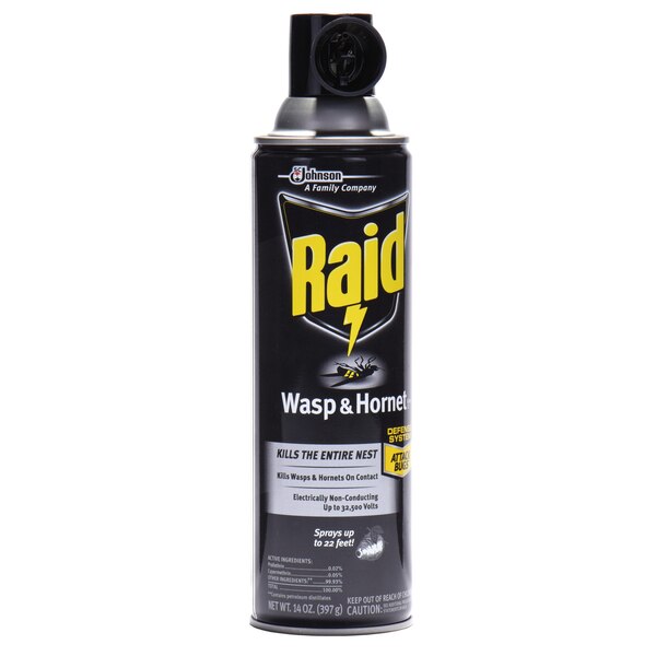 Raid, Wasp & Hornet Killer Spray, 14 oz
