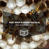 Raid, Wasp & Hornet Killer Spray, 14 oz, thumbnail image