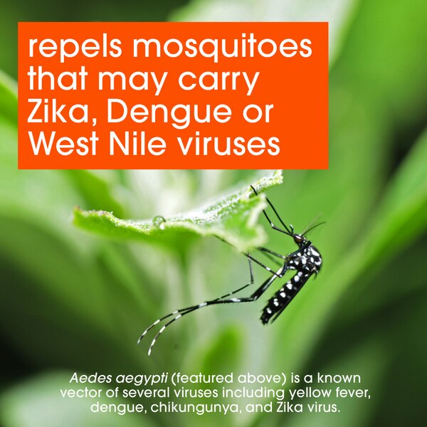 OFF! FamilyCare Insect Repellent I, Smooth & Dry, 4 OZ