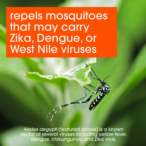 OFF! Deep Woods Insect Repellent