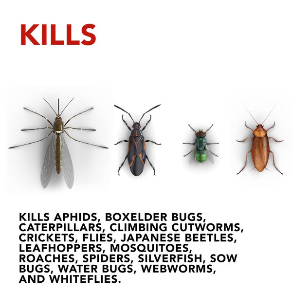 Raid House & Garden Bug Killer Spray Indoor-Outdoor