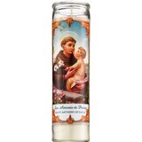 Star Candle 8 Inch Saint Anthony of Padua Prayer Candle, White, thumbnail image