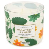 Star Candle Co. 3-Wick Candle, Warm Tabac & Amber, 14 oz, thumbnail image