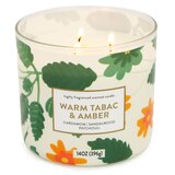Star Candle Co. 3-Wick Candle, Warm Tabac & Amber, 14 oz, thumbnail image