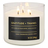 Star Candle Co. 3-Wick Candle, Gratitude & Thanks, 14 oz, thumbnail image