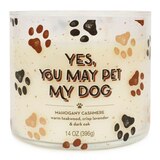 Star Candle Co. "Yes, You May Pet My Dog" 3-Wick Candle, Mahogany Cashmere, 14 oz, thumbnail image