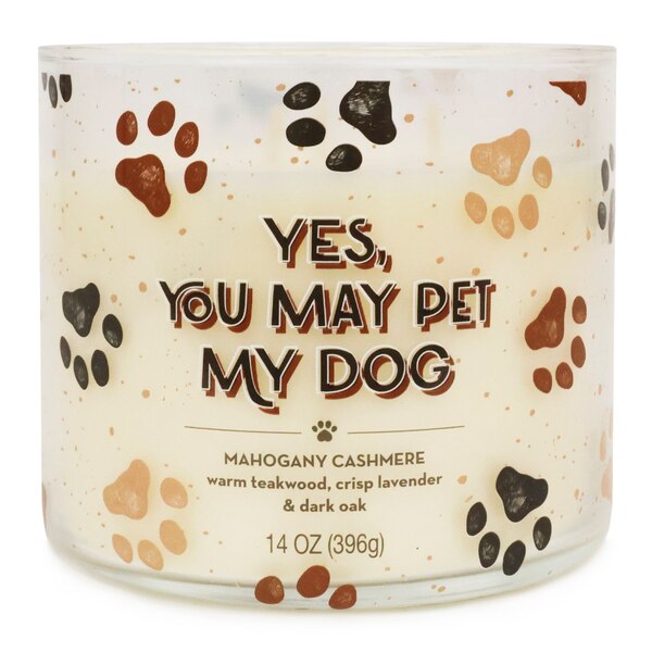 Star Candle Co. "Yes, You May Pet My Dog" 3-Wick Candle, Mahogany Cashmere, 14 oz