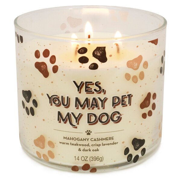 Star Candle Co. "Yes, You May Pet My Dog" 3-Wick Candle, Mahogany Cashmere, 14 oz