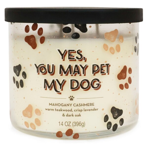 Star Candle Co. "Yes, You May Pet My Dog" 3-Wick Candle, Mahogany Cashmere, 14 oz
