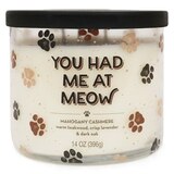 Star Candle Co. "You Had Me At Meow" 3-Wick Candle, Mahogany Cashmere, 14 oz, thumbnail image