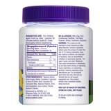 Natrol Kids Soothing Nights Gummy - Bedtime without Melatonin, 60 CT, thumbnail image