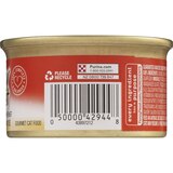 Friskies Fancy Feast Savory Salmon, thumbnail image 4 of 4