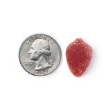 CVS Health Men's Multivitamin Gummies, 170 CT, thumbnail image