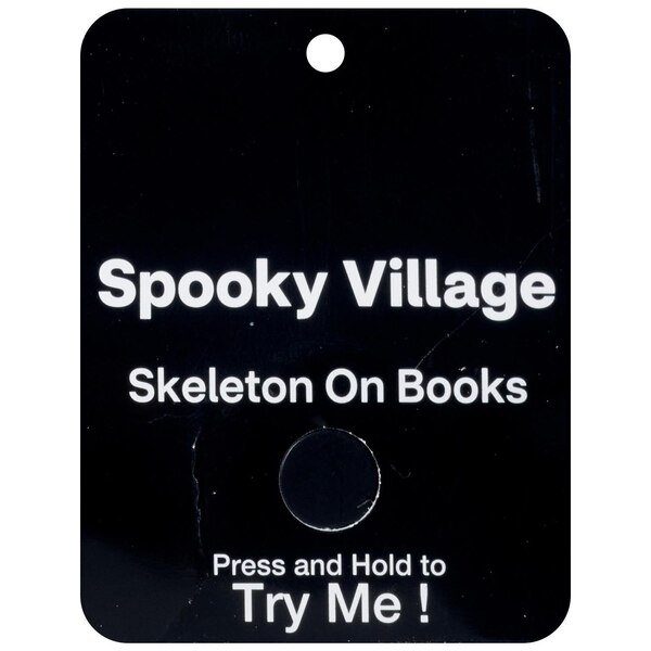 Spooky Village Skeleton on Books Decoration, 17.5 in