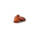 Well Market Almonds Roasted with Light Sea Salt, 8 Oz, thumbnail image 5 of 5