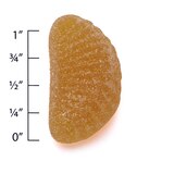 CVS Health Children's AirShield Immune Support Gummies, Citrus and Cherry, 42 CT, thumbnail image