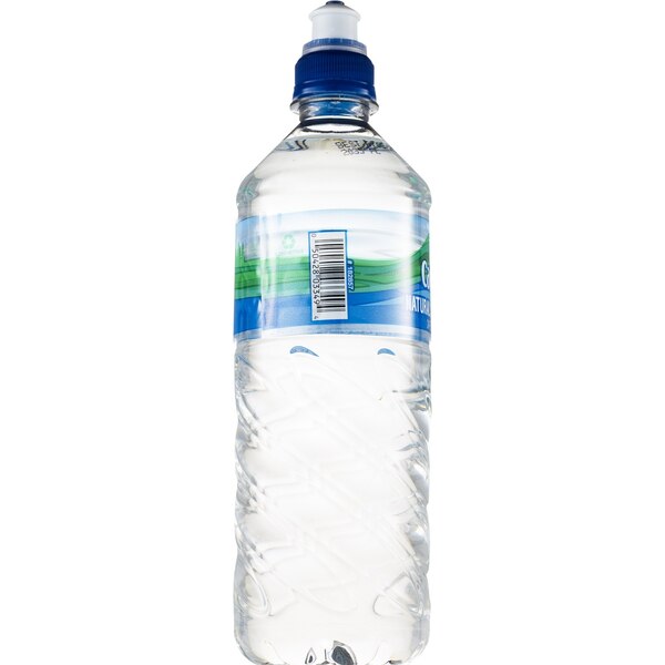 Gold Emblem Natural Spring Water, 24 OZ