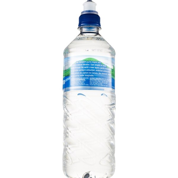 Gold Emblem Natural Spring Water, 24 OZ