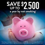 CVS Health Sugar Free Nicotine Lozenges, Mint, thumbnail image 2 of 9