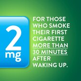 CVS Health Sugar Free Nicotine Lozenges, Mint, thumbnail image 5 of 9