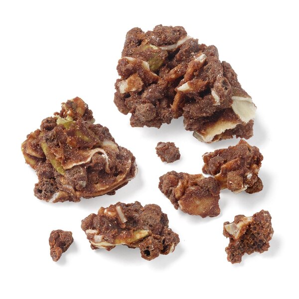 Well Market Dark Chocolate Protein-Boosted Granola, 8 oz