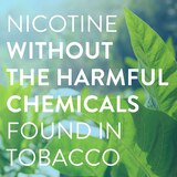 CVS Health Sugar Free Nicotine Lozenge, Mint, thumbnail image 4 of 7