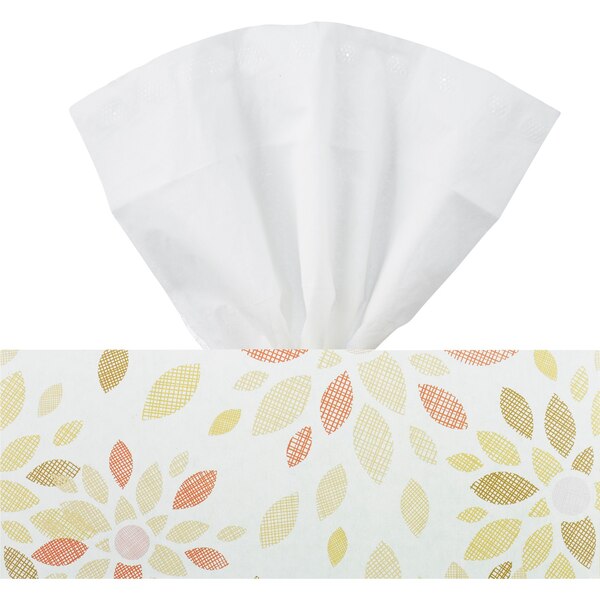 Total Home Facial Tissue Soft & Strong 2-Ply, Assorted Box Colors, 144 ct