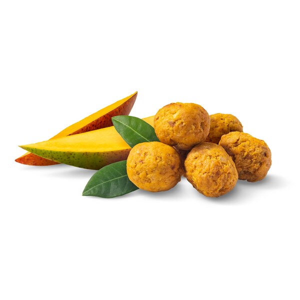 Well Market Mango Dried Fruit Bites, 6 oz