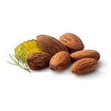 Well Market Zesty Dill Pickle Sprouted Almonds, 6 oz, thumbnail image