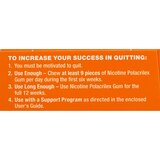 CVS Health Sugar Free Nicotine Gum, Fruit, thumbnail image
