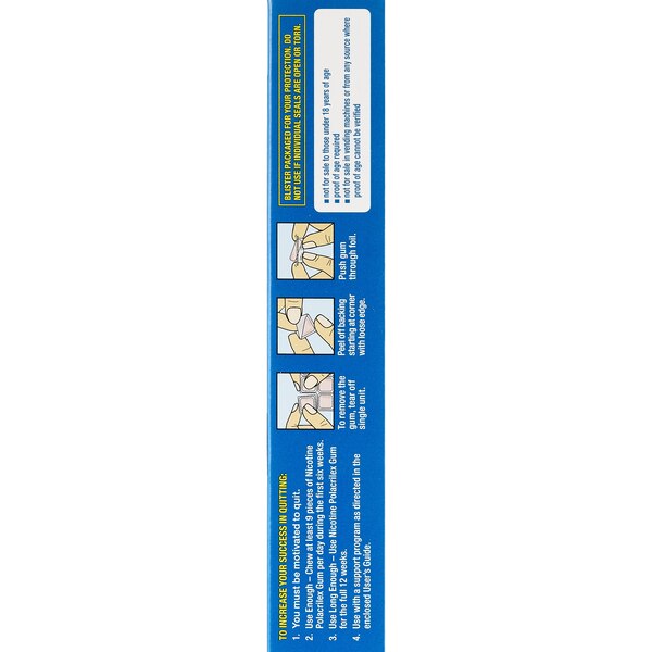 CVS Health Sugar Free Nicotine Gum, Ice Mint