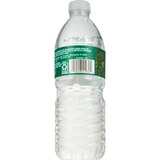 Gold Emblem Ice Canyon Natural Spring Water, 16.9 oz, thumbnail image