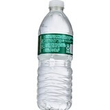 Gold Emblem Ice Canyon Natural Spring Water, 16.9 oz, thumbnail image
