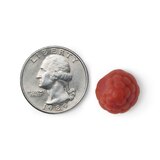 CVS Health Women's Daily Multivitamin Gummies, thumbnail image