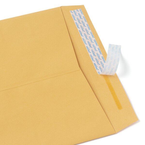 Caliber Office Pak Envelopes