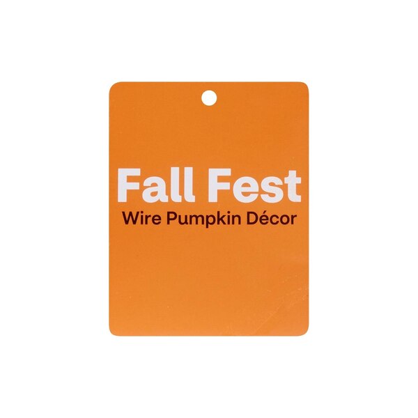 Fall Fest Wire Pumpkin Decor, 12 in