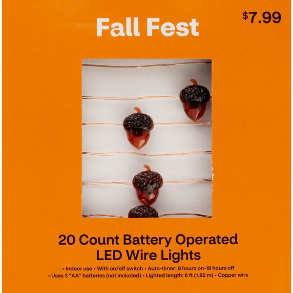 Fall Fest 20-Count Battery Operated LED Garland Lights, 9 ft
