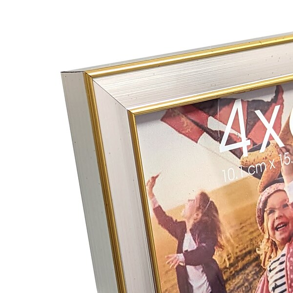 House To Home Two-Tone Metallic Picture Frame, 4 x 6 in
