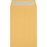 Caliber Press & Seal Envelopes 6 X 9 Inch, thumbnail image
