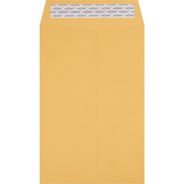 Caliber Press & Seal Envelopes 6 X 9 Inch