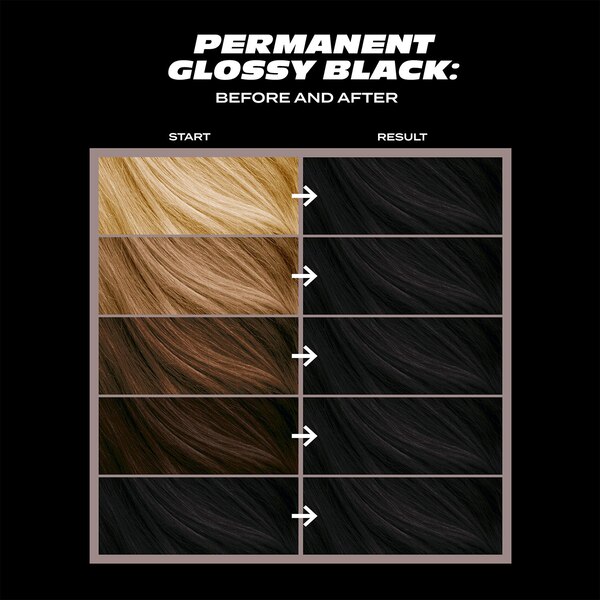 Bleach London Permanent Hair Color, Glossy Black 