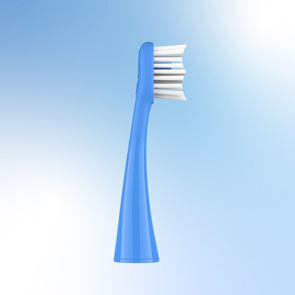 Ordo Sonic Replacement Brush Heads, Arctic Blue, 4 CT
