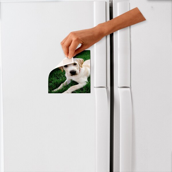 Scotch Removable Mounting Squares, 1 in x 1 in, 16 ct