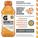 Gatorade Gatorlyte Rapid Rehydration Electrolyte Beverage, 20 oz, thumbnail image