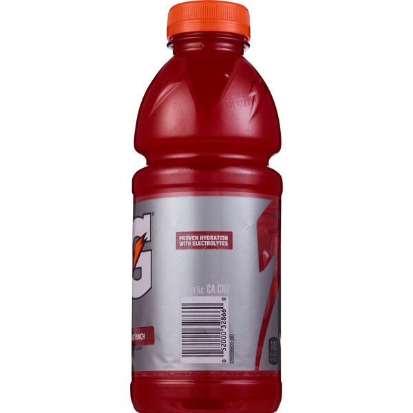 Gatorade, Drink Fruit Punch, 20 oz